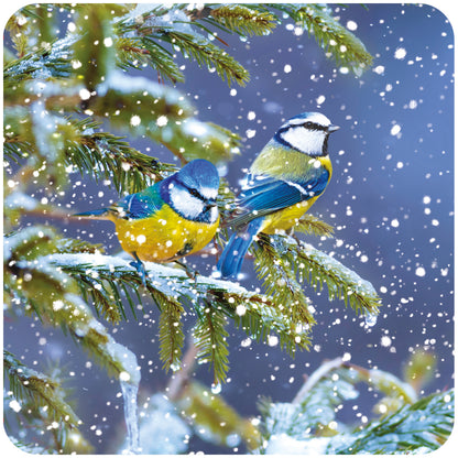 RSPB Luxury Christmas Card Twin Pack (10 Cards) - Snowy Spruce