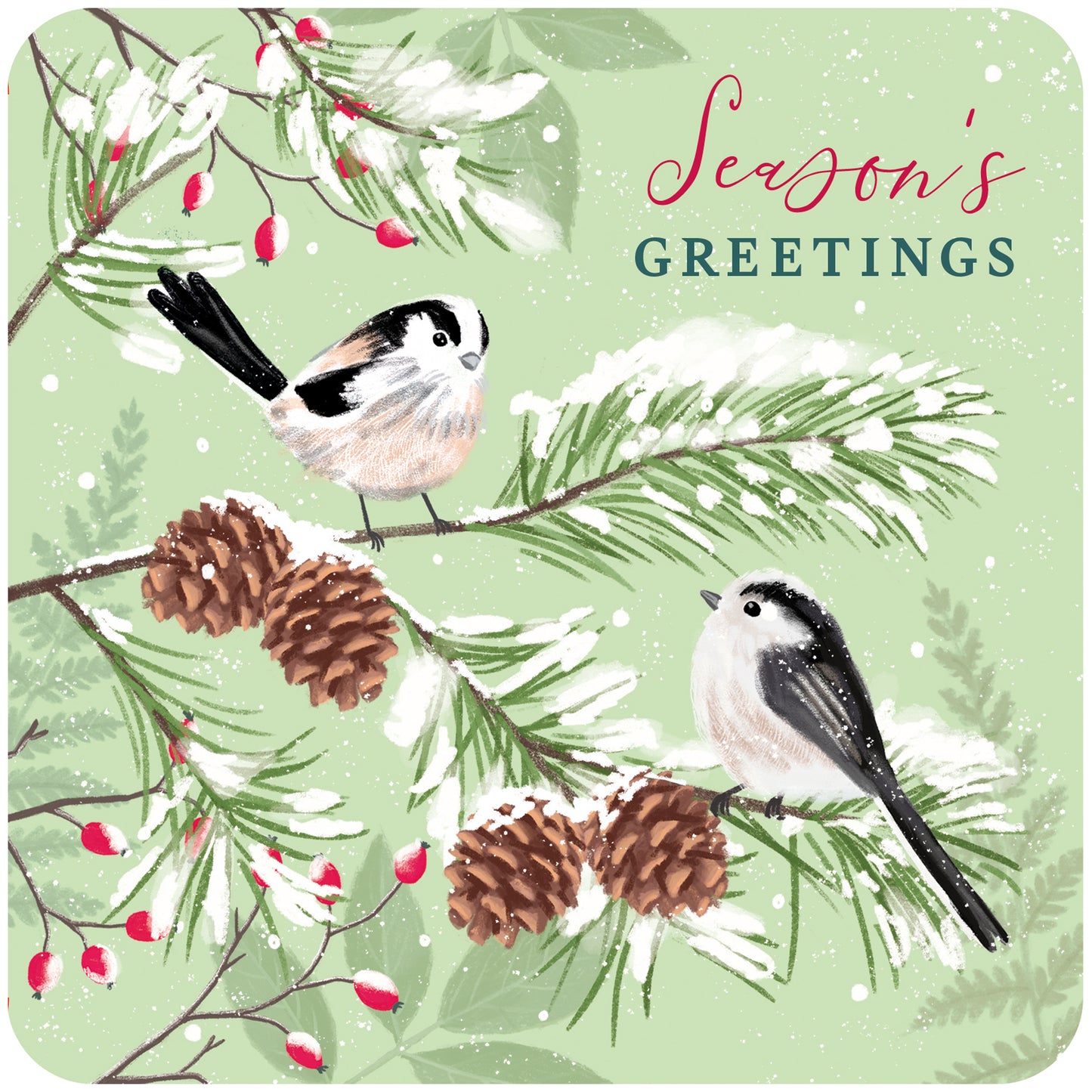 RSPB Luxury Christmas Card Twin Pack (10 Cards) - Birds & Berries