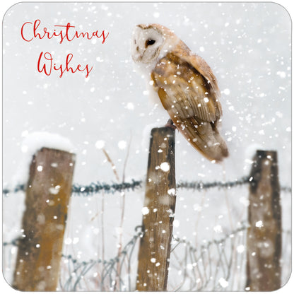 RSPB Luxury Christmas Card Twin Pack (10 Cards) - Watching & Waiting