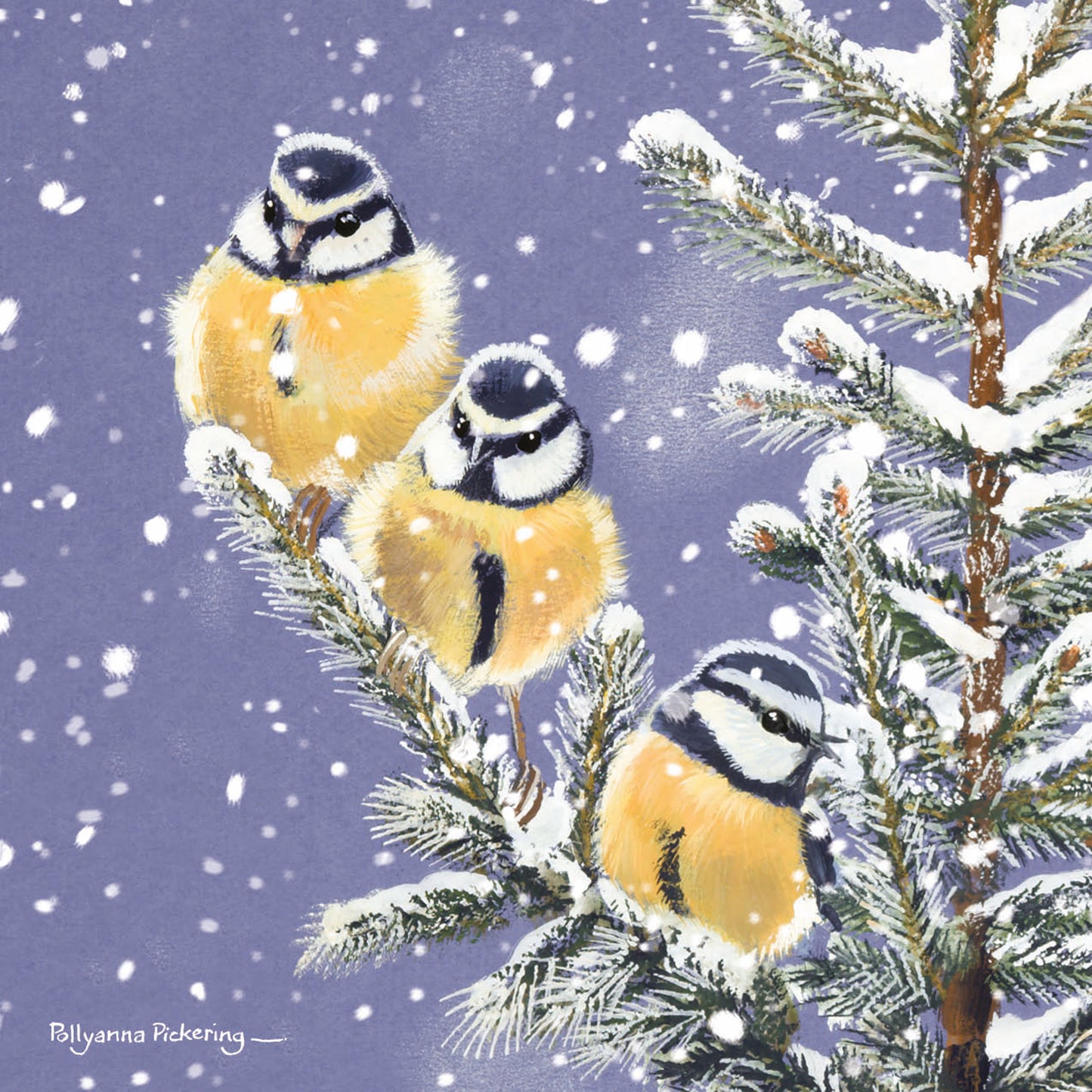 RSPB Small Christmas Cards (10 Cards) - Trio of Blue Tits
