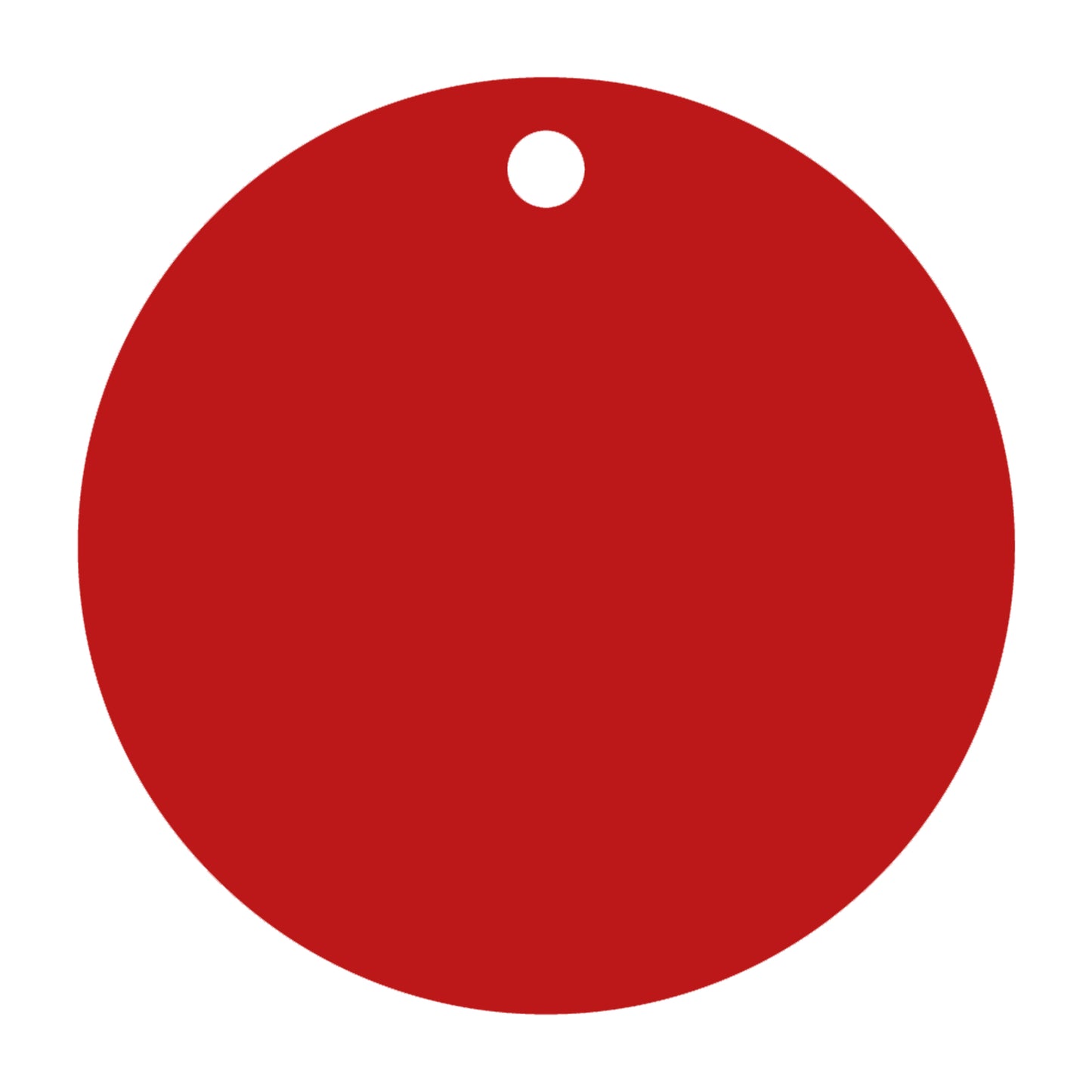 Christmas Wrap & Tags - Wildlife & Foliage (10 Sheets & 10 Tags)