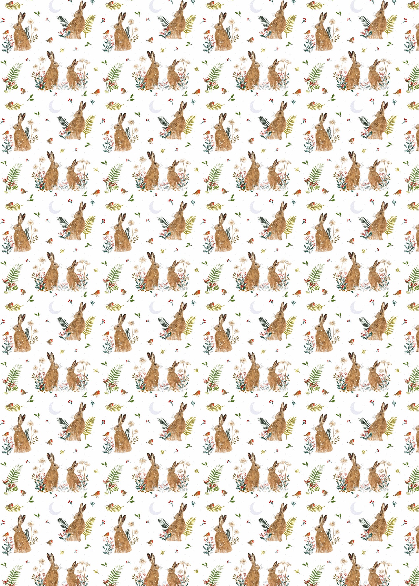 Christmas Wrap & Tags - Wintry Hares (5 Sheets & 5 Tags)