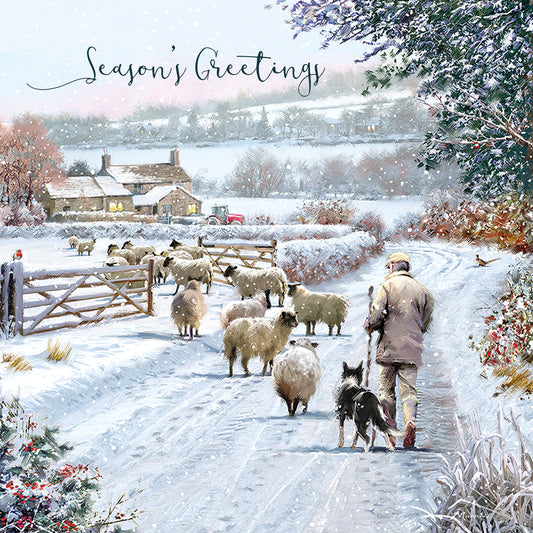 Assorted Christmas Cards - Off Home