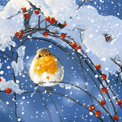 Assorted Christmas Cards - Winter Robins