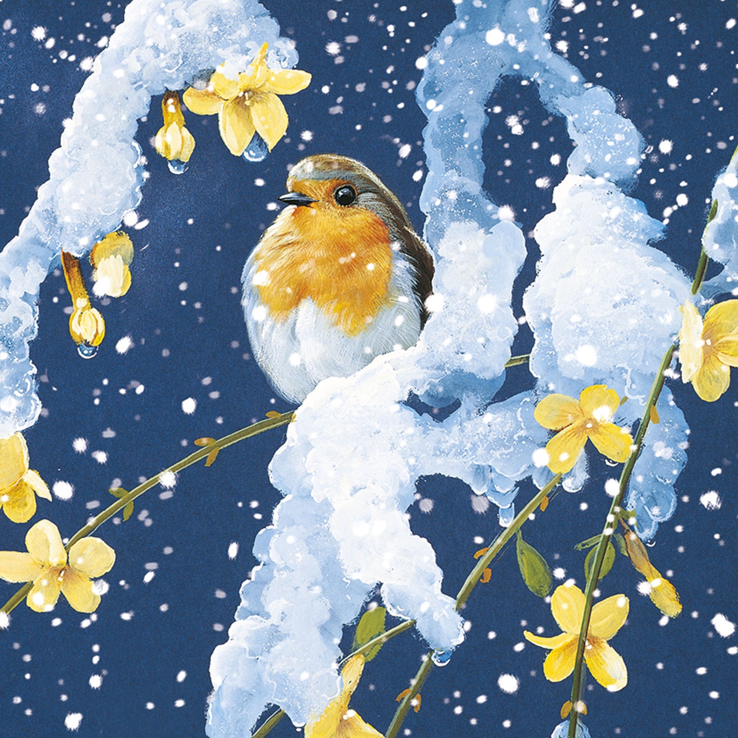 Assorted Christmas Cards - Winter Robins