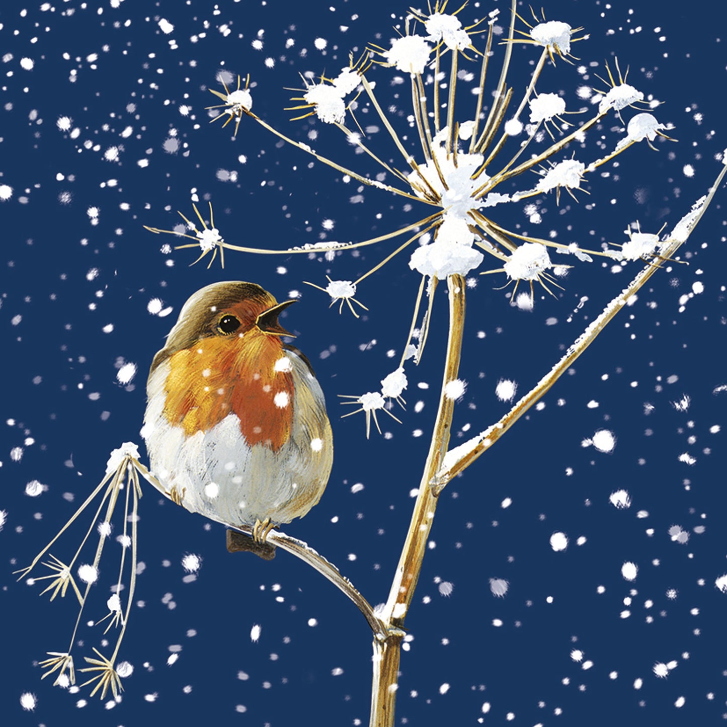 Assorted Christmas Cards - Winter Robins