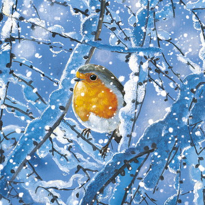 Assorted Christmas Cards - Winter Robins