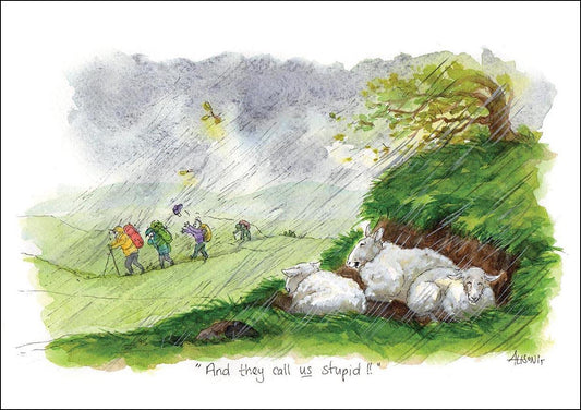 Alison's Animals Card - And they call use stupid! (Splimple - 150x210mm)