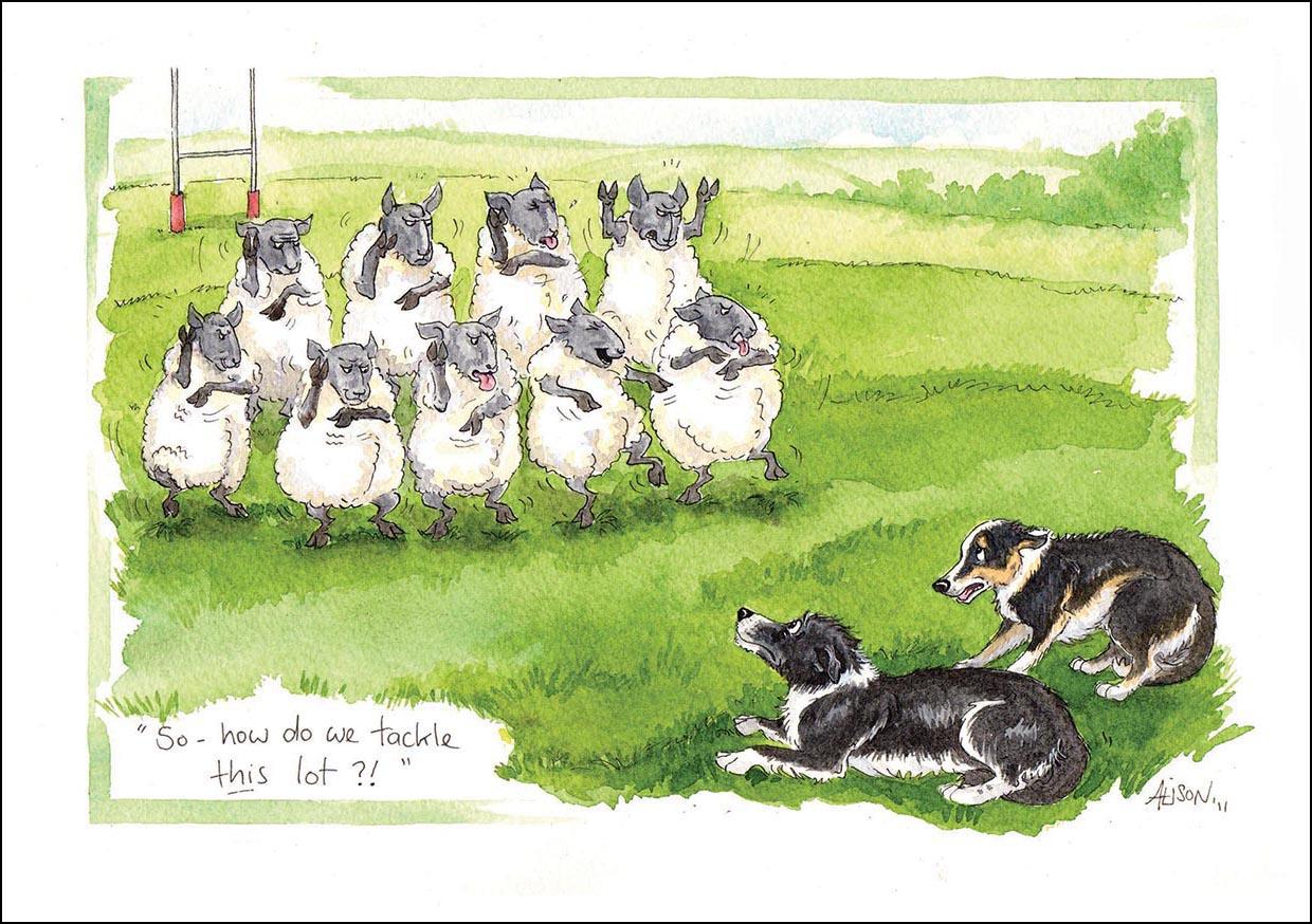 Alison's Animals Card - How do we tackle this lot? (Splimple - 150x210mm)