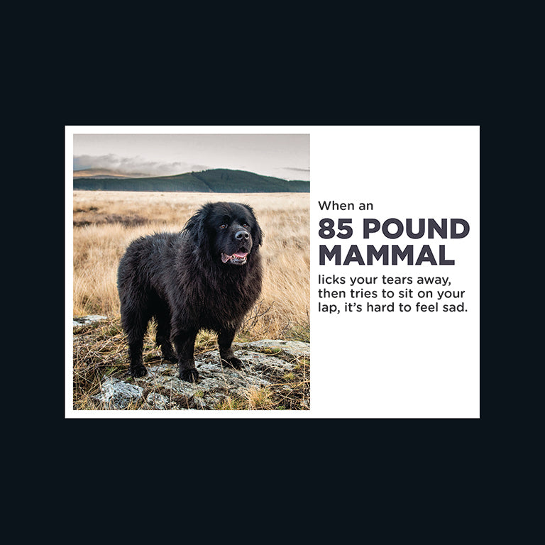 Barking at the Moon Card - When as 85 pound mammal licks your tears away (Splimple)