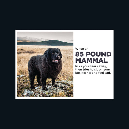 Barking at the Moon Card - When as 85 pound mammal licks your tears away (Splimple)