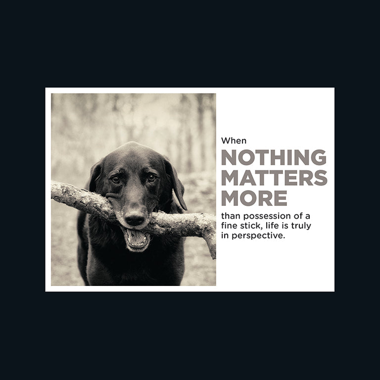 Barking at the Moon Card - Nothing matters more than a fine stick (Splimple)