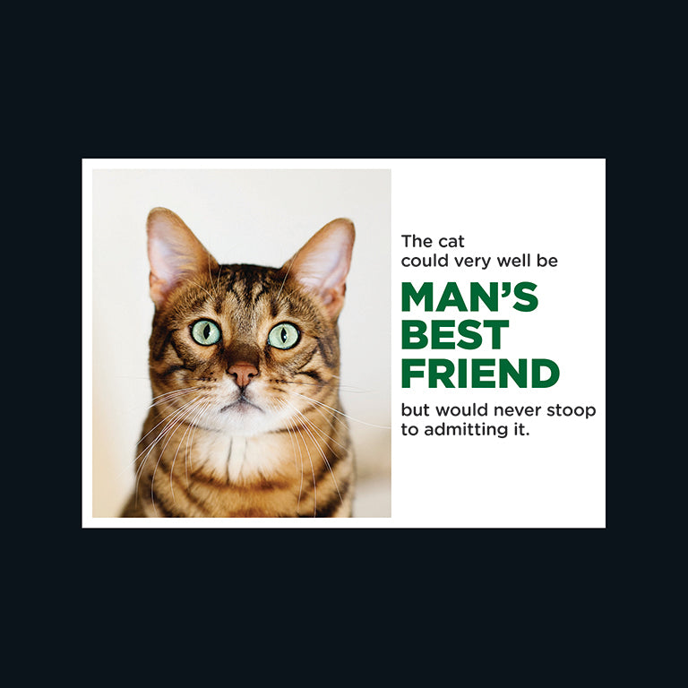 Barking at the Moon Card - The cat could very well be man's best friend (Splimple)