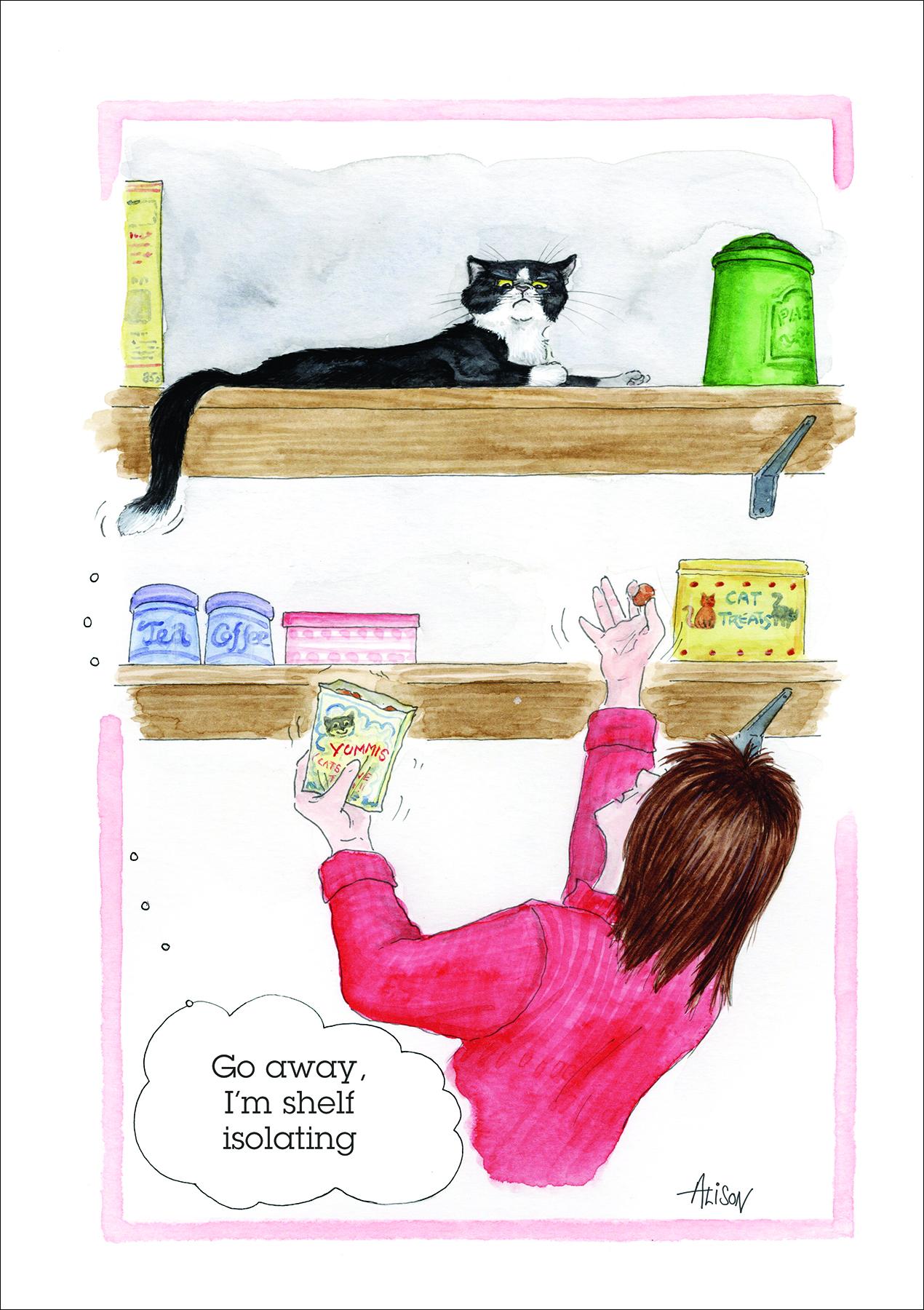 Alison's Animals Card - I'm shelf isolating (Splimple - 150x210mm)