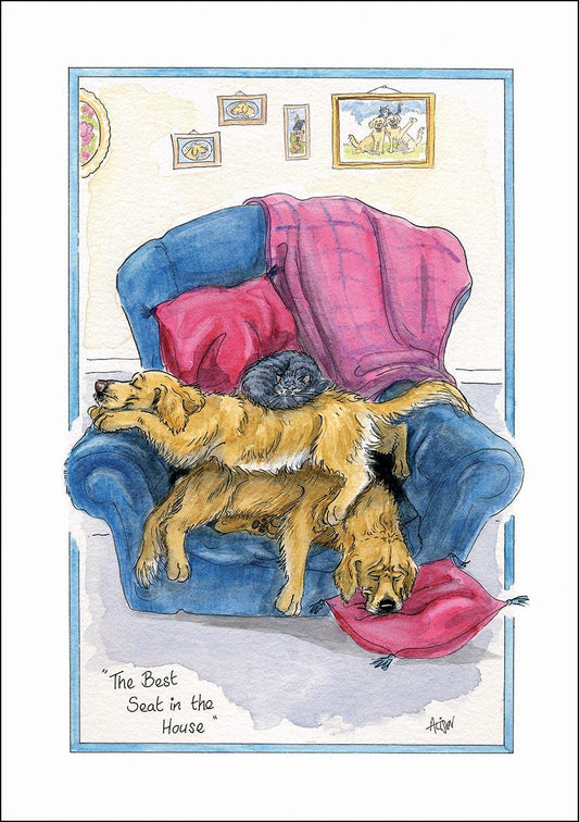 Alison's Animals Card - Best seat in the house (Splimple - 150x210mm)