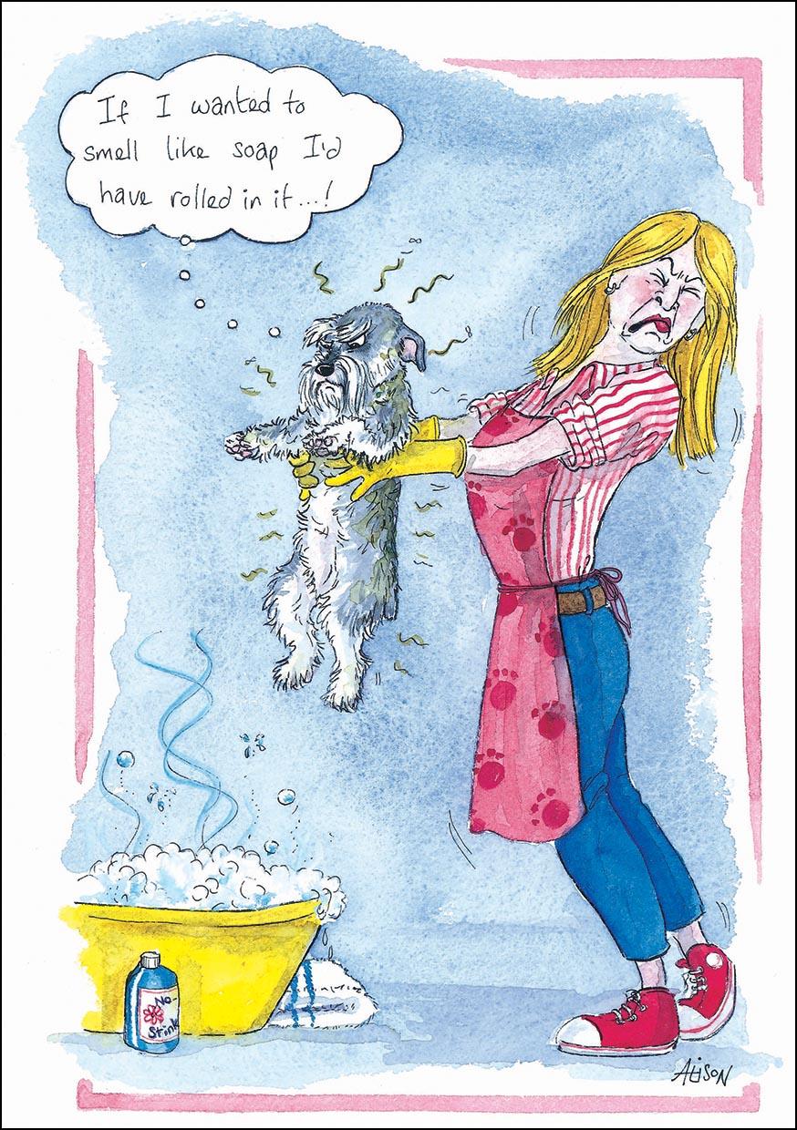 Alison's Animals Card - If I wanted to smell like soap ? (Splimple - 150x210mm)