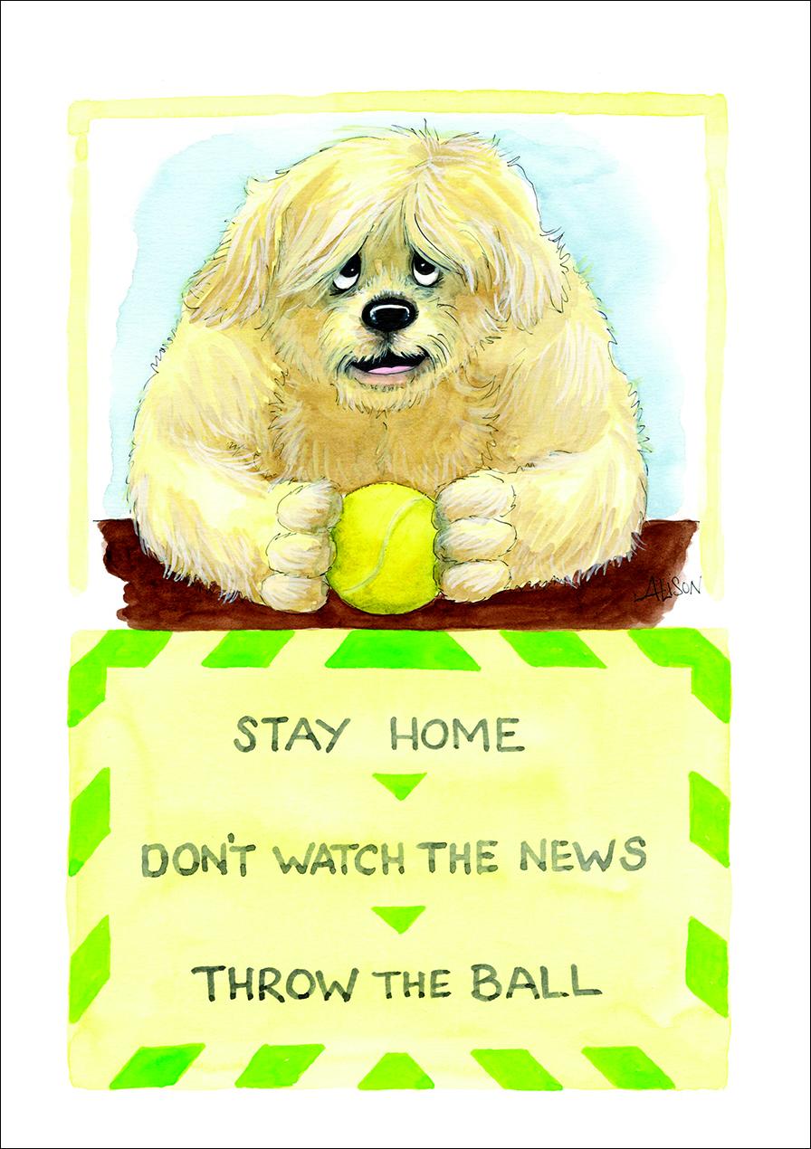 Alison's Animals Card - Throw the ball (Splimple - 150x210mm)