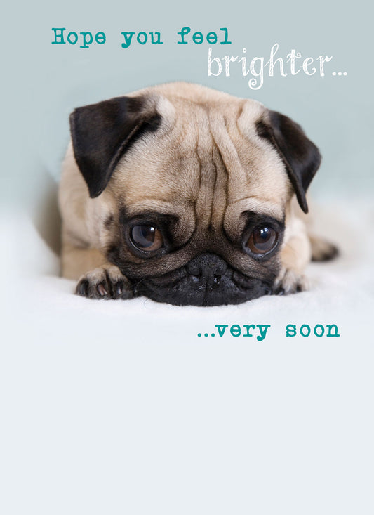 Get Well Soon Card - Cute Pug