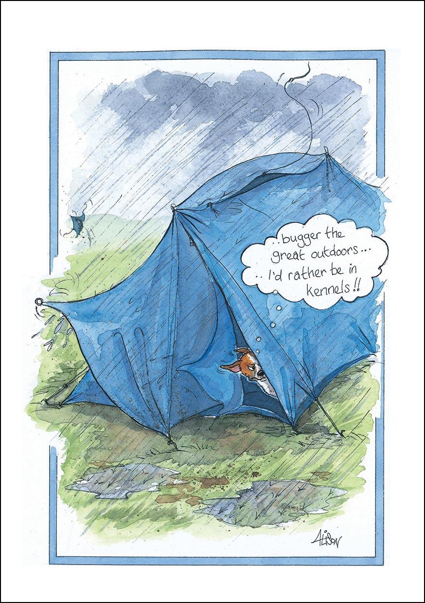 Alison's Animals Card - Bugger the great outdoors (Splimple - 150x210mm)