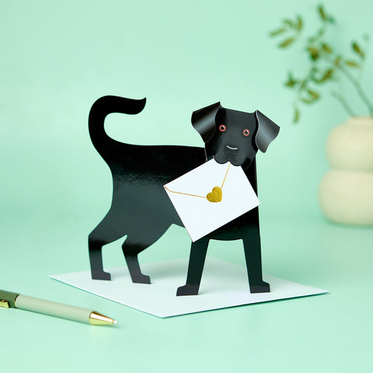 Special Delivery Card Collection - Dog - Jet