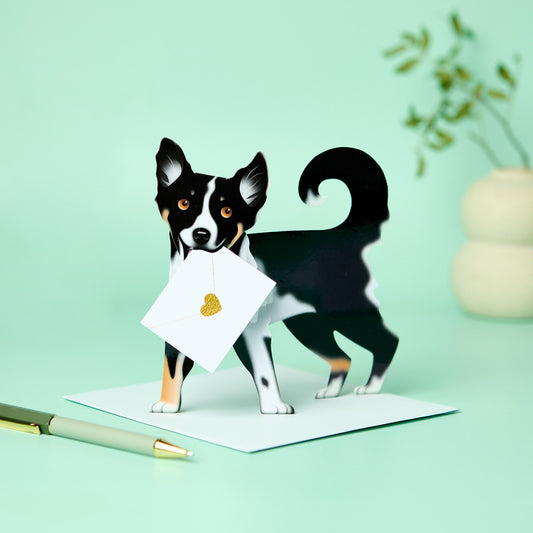 Special Delivery Card Collection - Dog - Collie