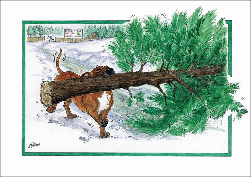 XMAS CARD - Alison's Animals - Pick your own (Splimple)