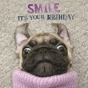  Pet Pawtrait Card - Smile Pup (Birthday Card)