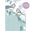 Dinkies Mini Card - Little Blue Tits