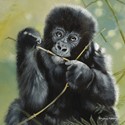 Pollyanna Pickering Card Collection - Gorilla Infant