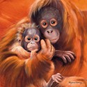 Pollyanna Pickering Card Collection - Orangutan & Baby