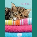 Animal Birthday Card - Sleeping Kitten