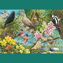 500 Piece Jigsaw - Natures Finest