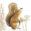 Pollyanna Pickering Countryside Collection Card - Squirrel