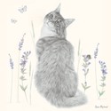Quayside Gallery Card Collection - Cat Amongst Flowers