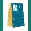Gift Bag (Small) - Celebrate!