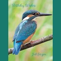 Animal Birthday Card - Kingfisher