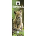 WWF Baby Animals Slim Calendar 2025 (PFP)
