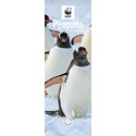 WWF Penguins Slim Calendar 2025 (PFP)