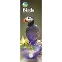RSPB Birds Slim Calendar 2025 (PFP)