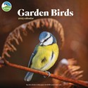 RSPB Garden Birds Wall Calendar 2025 (PFP)