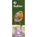RSPB Robins Slim Calendar 2025 (PFP)