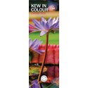 Royal Botanic Gardens Kew in Colour Slim Calendar 2025 (PFP)