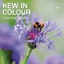 Royal Botanic Gardens Kew - Kew in Colour Wall Calendar 2025 (PFP)