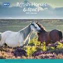 RSPCA British Horses & Ponies Wall Calendar 2025 (PFP)