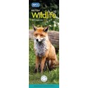 RSPCA British Wildlife Slim Calendar 2025 (PFP)