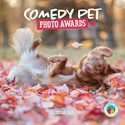 Comedy Pet Photography Awards Wall Calendar 2025 (PFP)