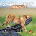 Comedy Wildlife Photography Awards Wall Calendar 2025 (PFP)