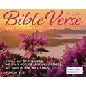Bible Verse a Day Mini Boxed Calendar 2025 (PFP)