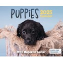 Puppies Mini Boxed Calendar 2025 (PFP)