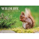 Wildlife of Britain A4 Calendar 2025 (PFP)
